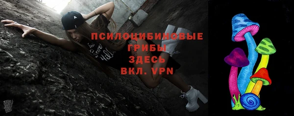 экстази Арсеньев