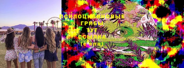 тгк Аркадак