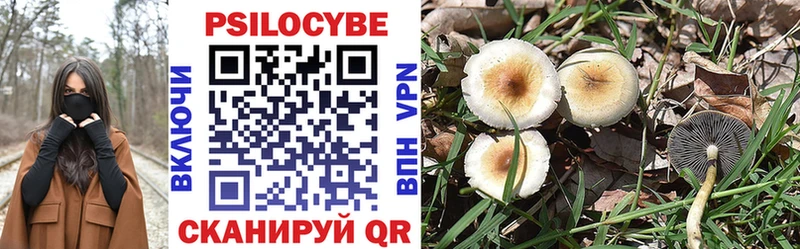 Галлюциногенные грибы MAGIC MUSHROOMS  Туринск 